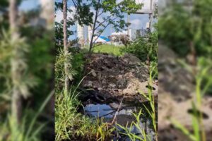 завод балтика хабаровск