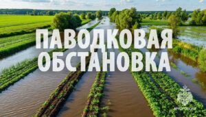 уровень амура у хабаровска